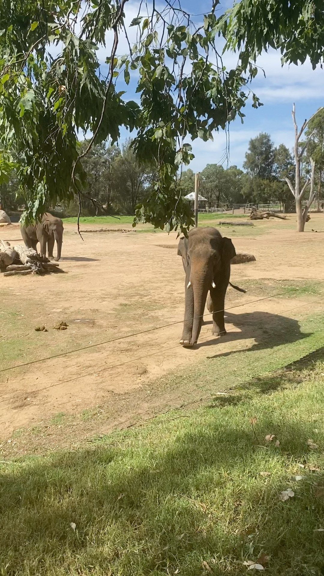 Dubbo Zoo 2025 Image -67de04a4b7613